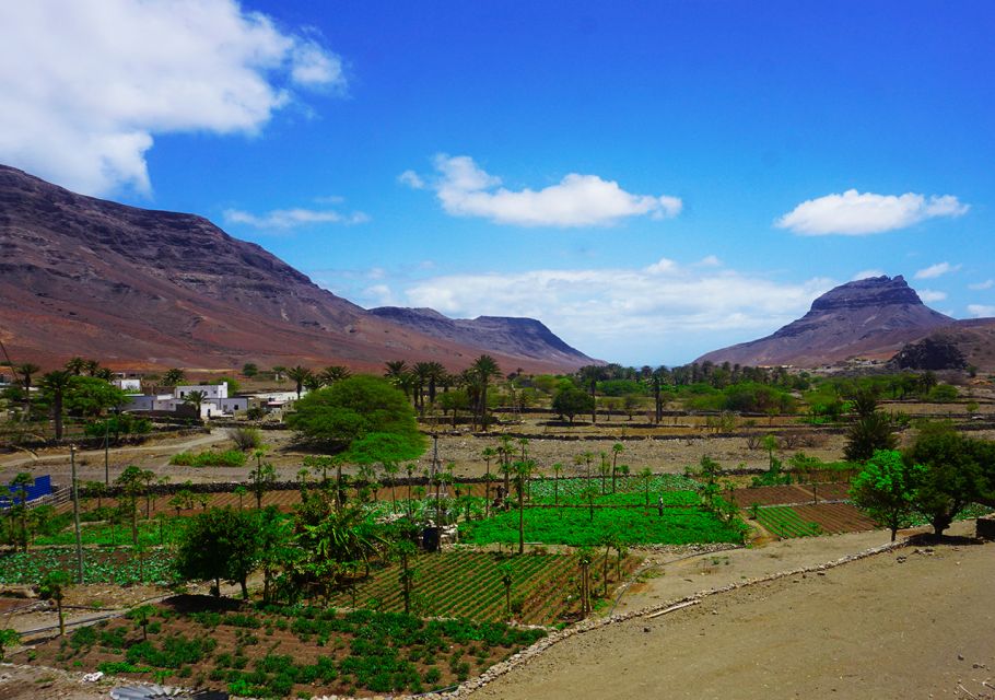 Safari boy with elephant