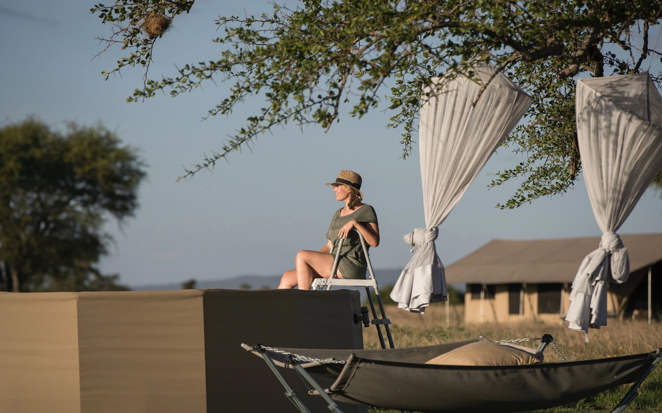 Safari boy with elephant